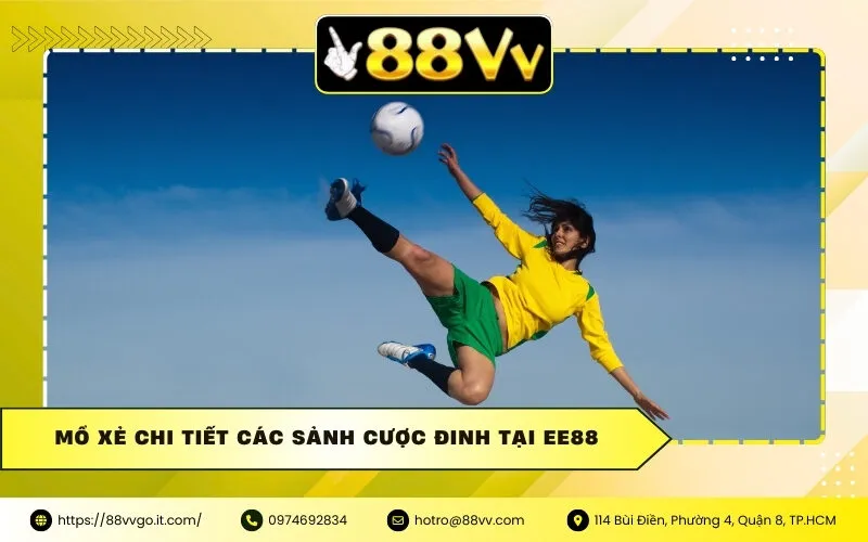 Mổ Xẻ Chi Tiết Các Sảnh Cược Đinh Tại Ee88